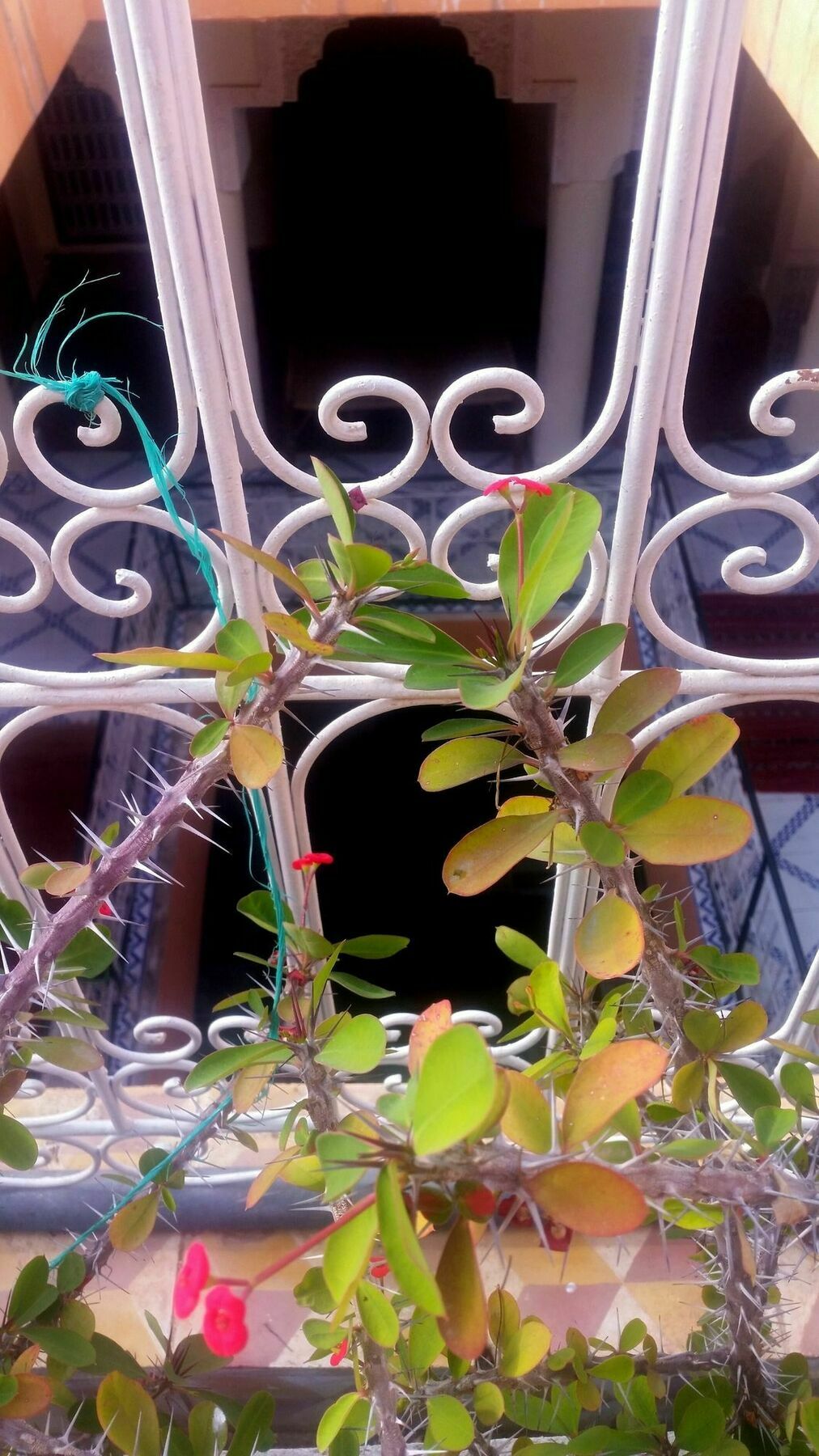 Riad Itry - Hostel Marrakesh Esterno foto